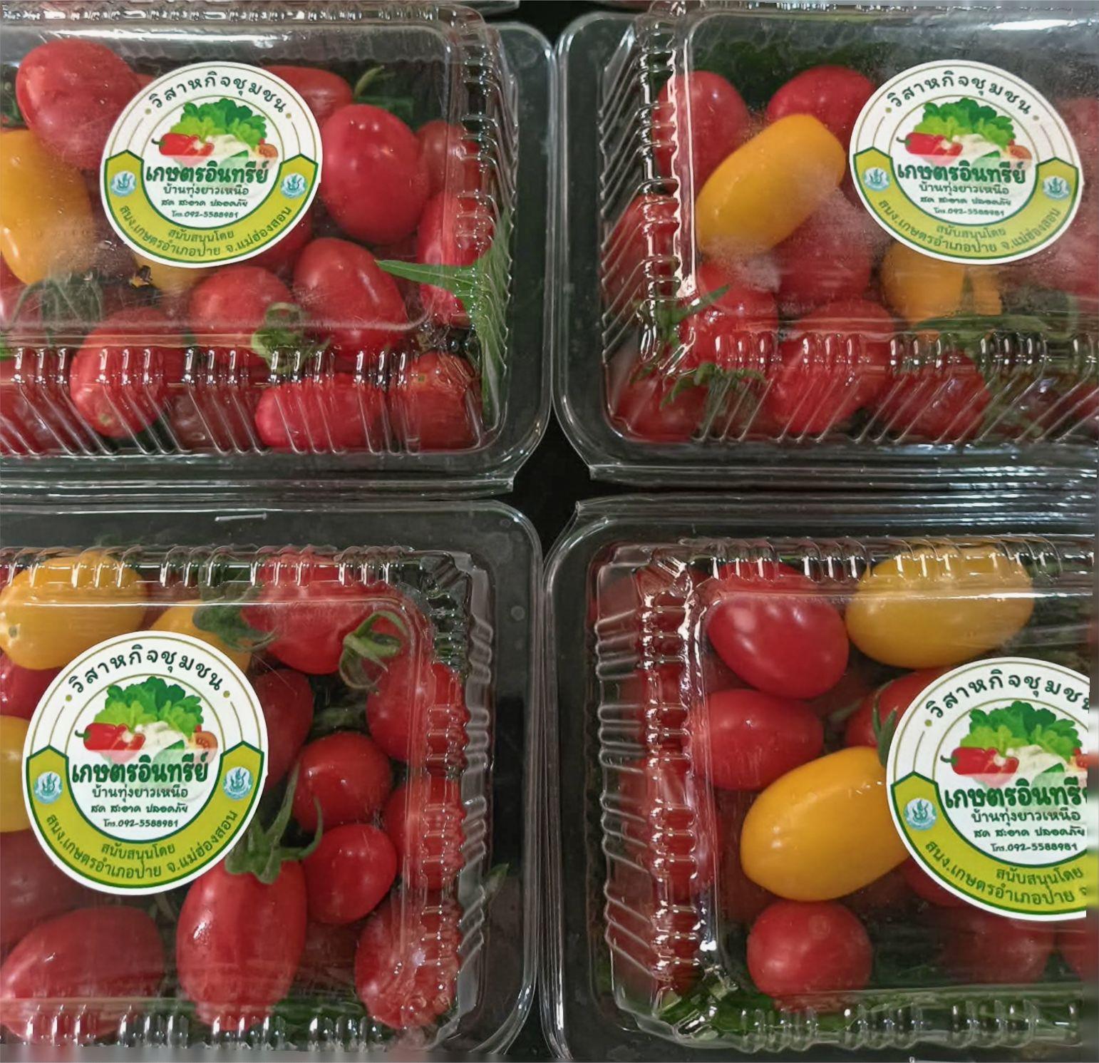 Tomato Cherry •มะเขือเทศเชอรี่•180g