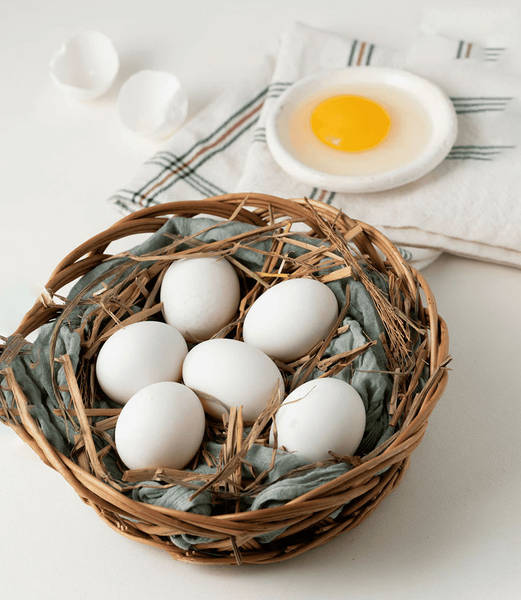 Free-range Duck Eggs 1 panel
