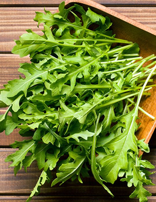 Rocket salad