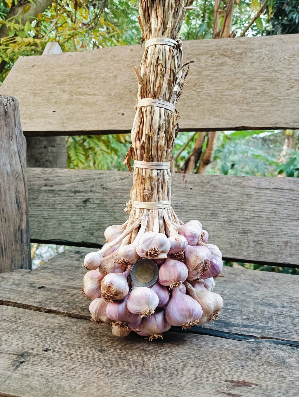 กระเทียมอินทรีย์ Organic Garlic 🧄