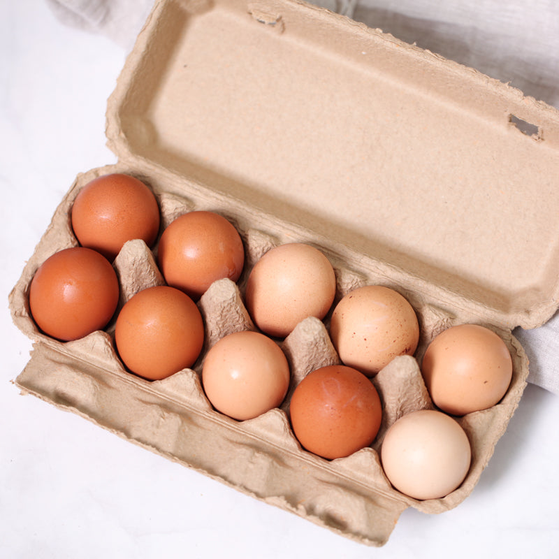 Free-range Chicken Eggs 1 panel