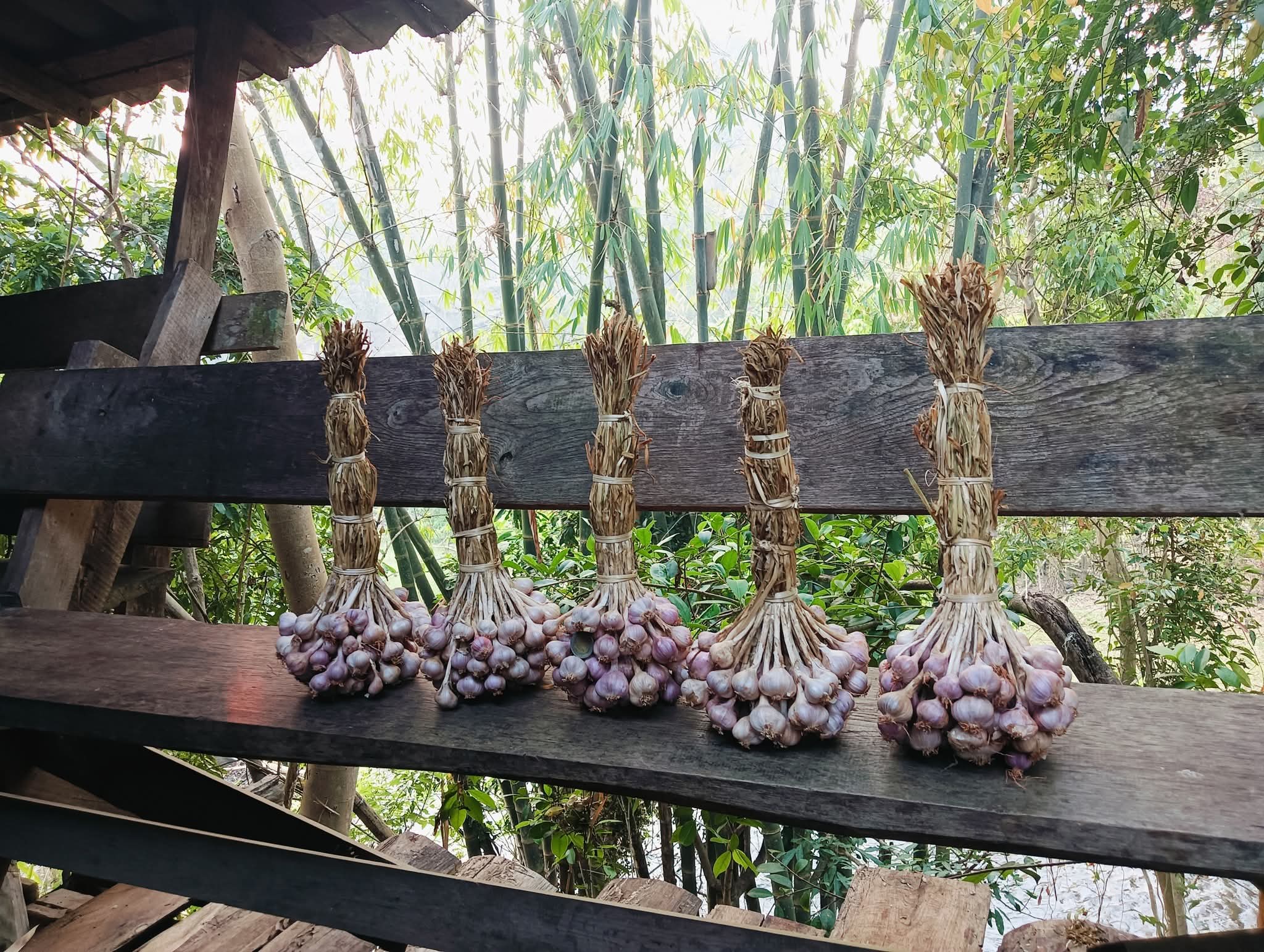 Pre - Order กระเทียมอินทรีย์ Organic Garlic 🧄